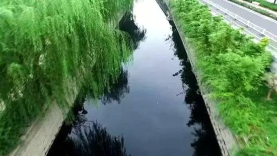 黑臭水體,黑臭水是怎么樣的