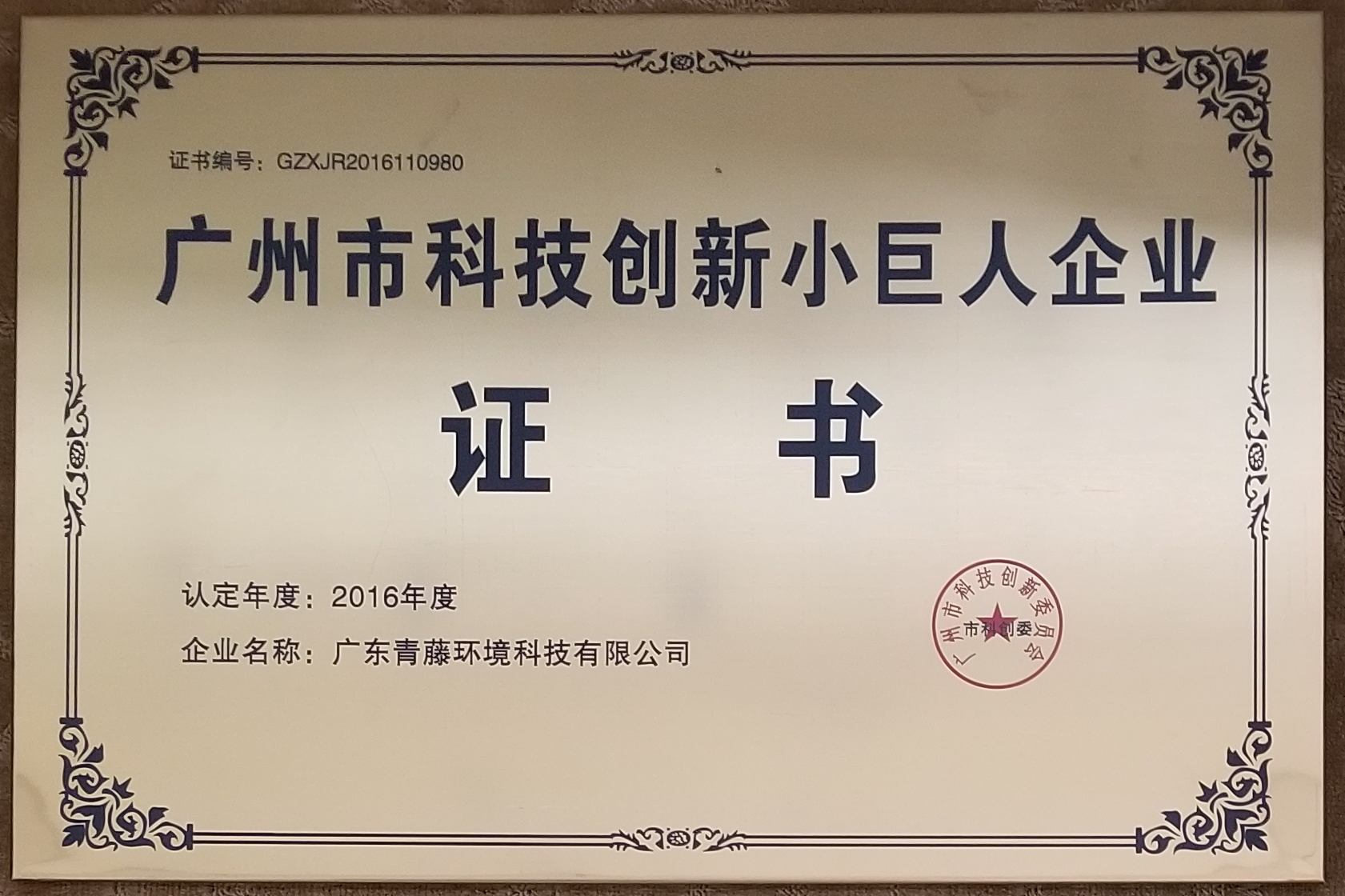 青藤環(huán)境廣州市科技創(chuàng)新小巨人企業(yè)證書