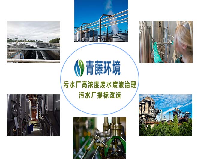 青藤環(huán)境污水廠高濃度廢水治理