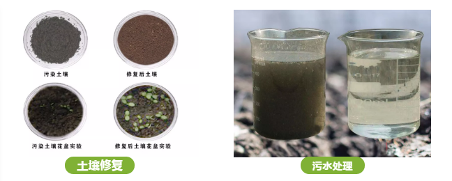 土壤修復和污水處理