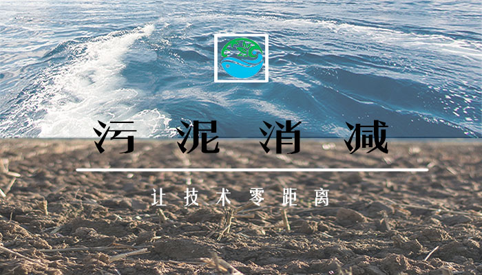 污泥減量化技術(shù)