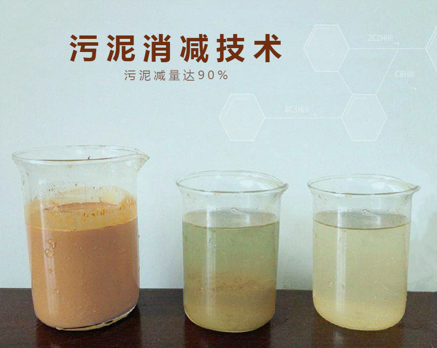 污泥消減技術